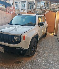 جيب رينيجيد